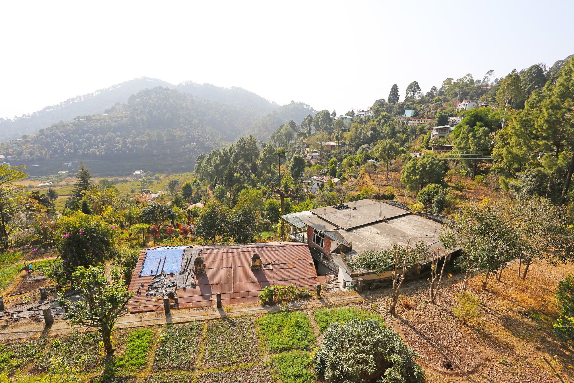 Oyo Home 10312 Spacious Studio Bhowali Nainital Exteriör bild